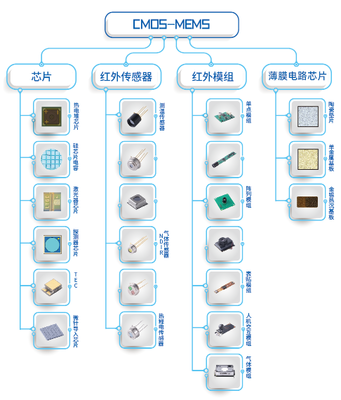 廈門造“中國芯” 技術自主與市場突破雙軌并行